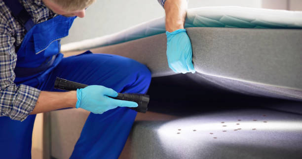 Best Pest Removal Services  in Blountstown, FL