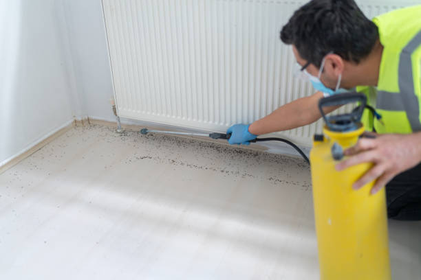Professional Pest Control in Blountstown, FL